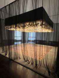 ［奧斯汀旅遊］Blanton Museum of Art-探索藝術瑰寶🌷