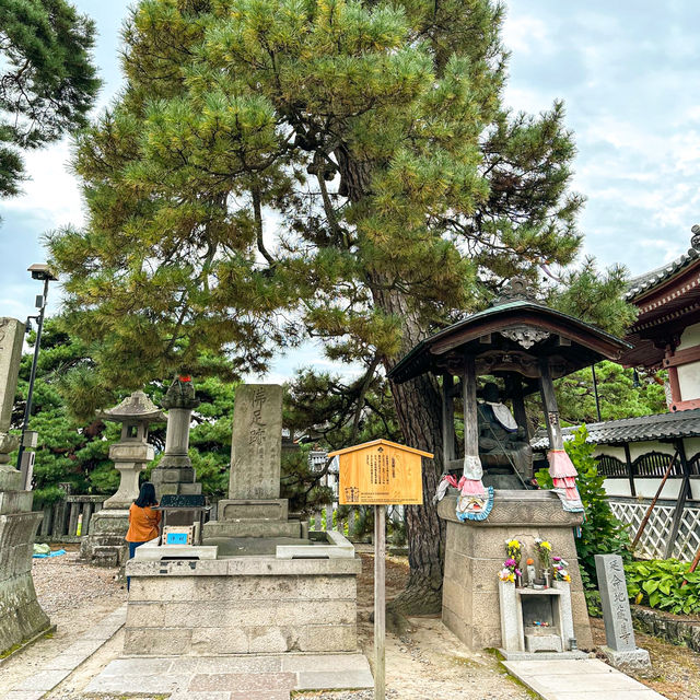 วัดเซ็นโคจิ Zenkoji Temple