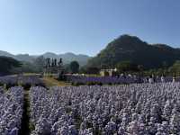 Hokkaido Flower Park 💐