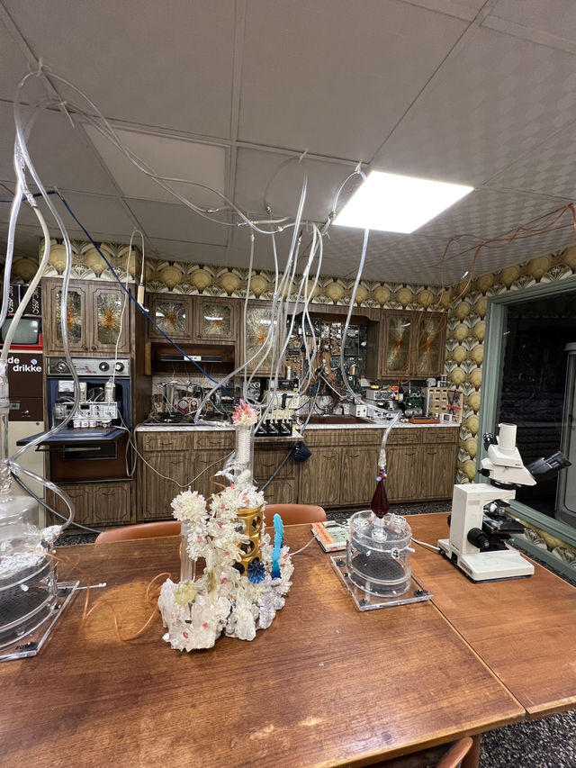 ［沃斯堡旅行］Modern Art Museum of Fort Worth-現代藝術的薰陶🎨