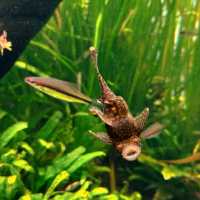 @ THE LOTTE WORLD AQUARIUM.