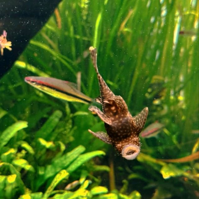 @ THE LOTTE WORLD AQUARIUM.