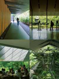 景點推薦：根津美術館——靜謐庭園與東方藝術的交融