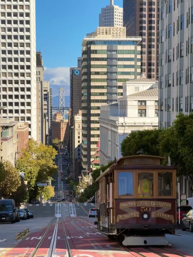 Falling for the Charm of San Francisco