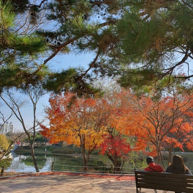12월에도 단풍 볼 수 있는 울산대공원