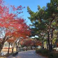 12월에도 단풍 볼 수 있는 울산대공원