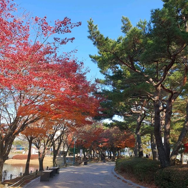 12월에도 단풍 볼 수 있는 울산대공원