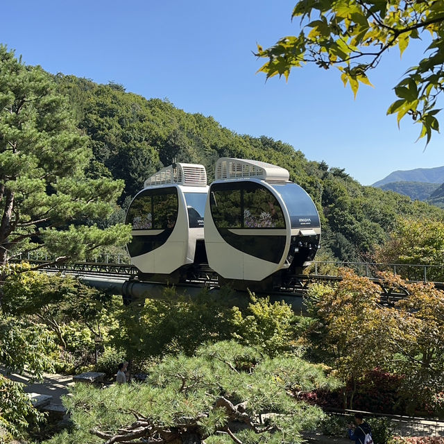 서울 근교 최고의 힐링 자연 스팟 화담숲🌳