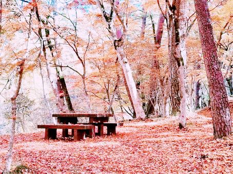 #山梨🇯🇵御岳昇仙峽#