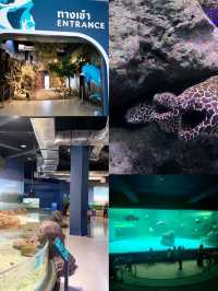 Bangsaen Aquarium: พิพิธภัณฑ์สัตว์น้ำชลบุรีสุดชิล