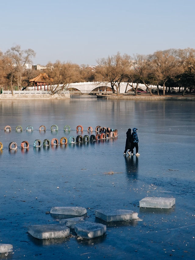 Beiling Park: A Tranquil Escape in Shenyang