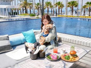 일본 첫 상륙! LA발 인기 레스토랑 '말리부 팜 즈시 마리나'