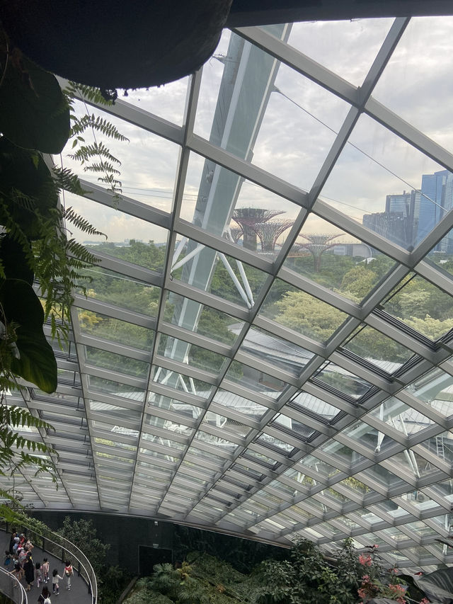 โดมยักษ์ Cloud Forest 🍃