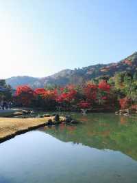 京都嵐山一日遊⛰️意想不到的美景就在這裡