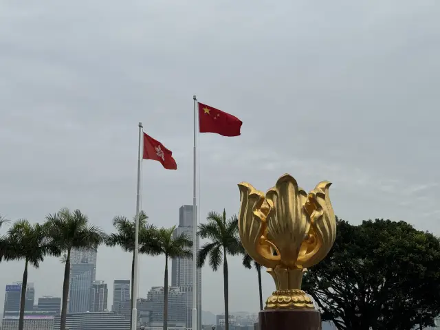 🌸 心靈的故鄉：金紫荊廣場的香港之旅 🌊