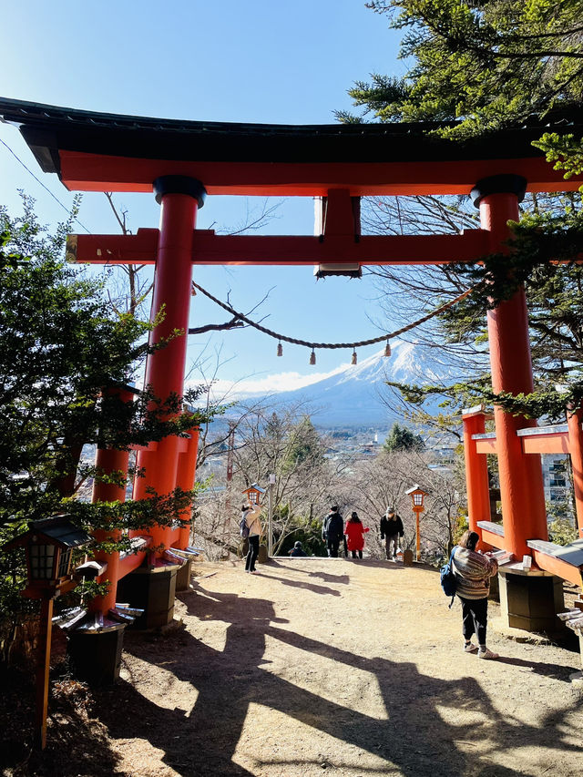 【山梨 冬の日帰り旅】富士山と五重塔の絶景 人気のスポット！
