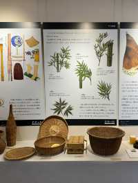 【若竹の杜　若山農場】