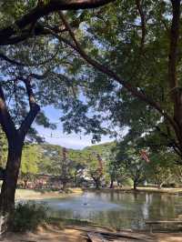 สวนอากง ลำปาง