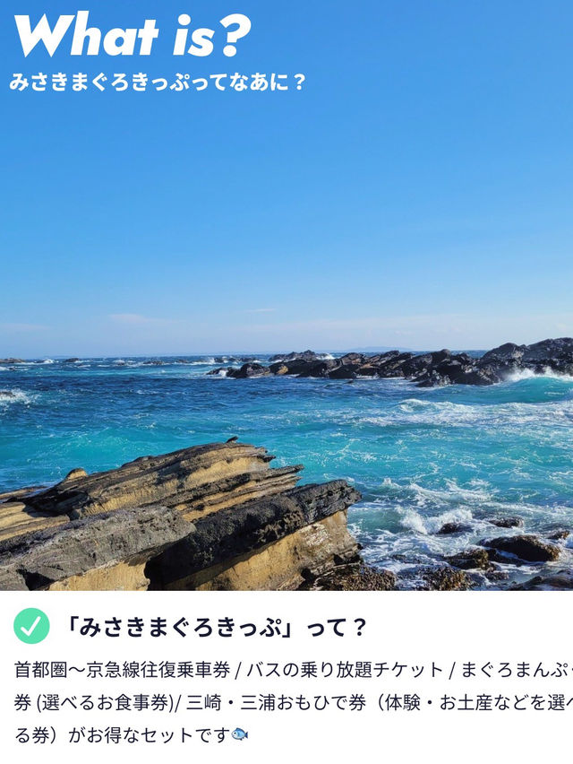 【三崎まぐろ切符で楽々旅🐟✨】 