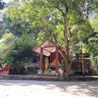 ‘วัดอุโมงค์’ วัดบรรยากาศดี เที่ยวแล้วสบายใจ
