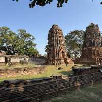 วัดมหาธาตุ จ.พระนครศรีอยุธยา