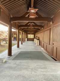 🌺🌼如世外桃源般的「志蓮淨苑」🪷🤩