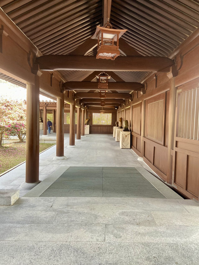 🌺🌼如世外桃源般的「志蓮淨苑」🪷🤩