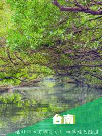 【台南】🌿穴場の絶景！四草緑色隧道で自然を満喫しよう🌿 