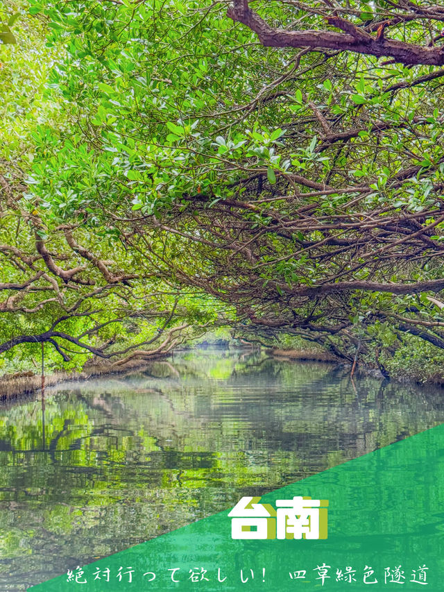 【台南】🌿穴場の絶景！四草緑色隧道で自然を満喫しよう🌿 