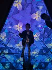 Teamlab Forest Fukuoka 🌳