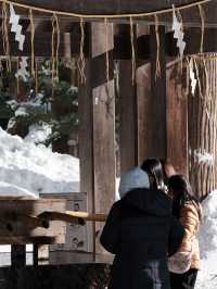 雪國的靜謐聖地—冬日北海道神宮參訪體驗