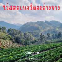 ไร่สตอเบอรี่ ดอยอ่างขาง