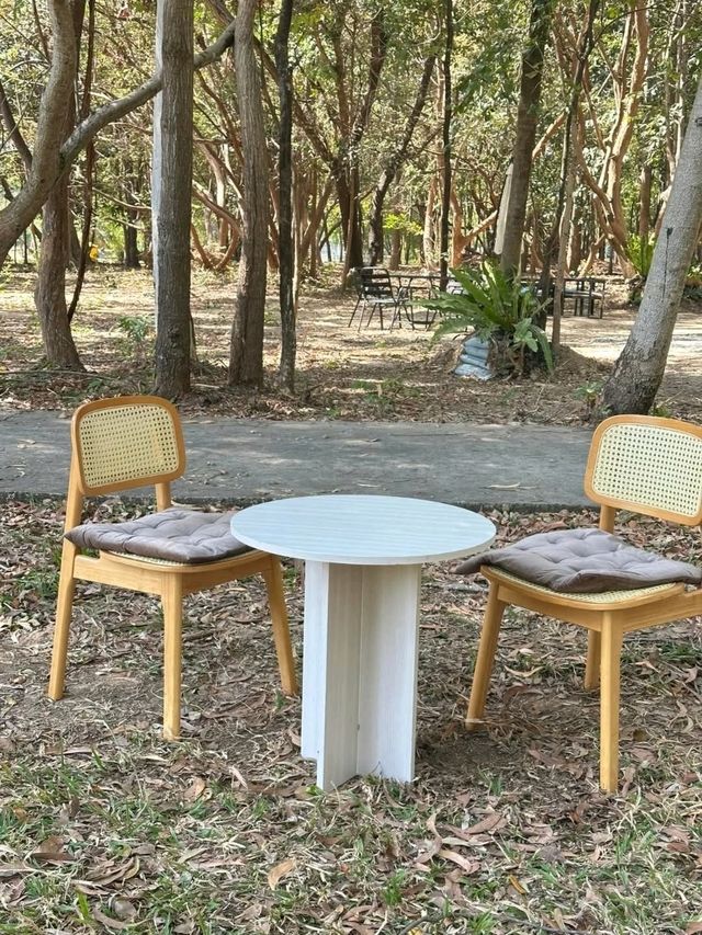 SHADE IN THE WOODS | 