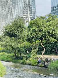 คลองช็องกเยชอน (Cheonggyecheon Stream)