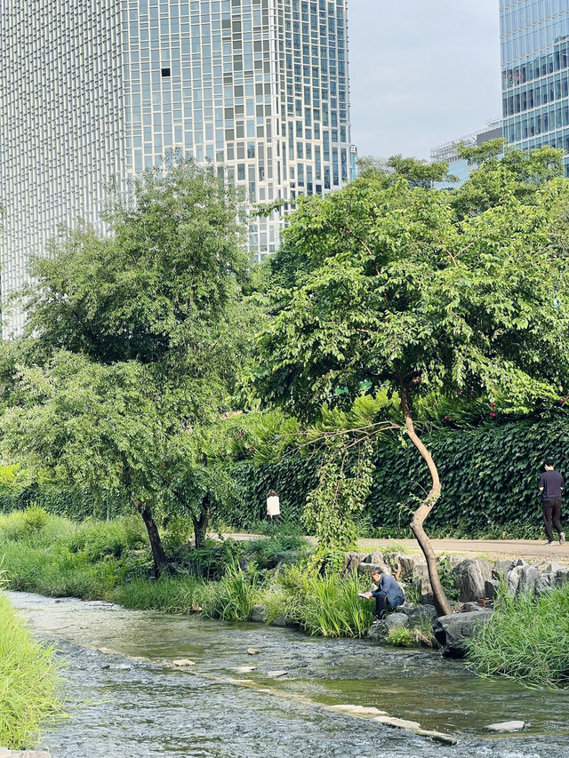 คลองช็องกเยชอน (Cheonggyecheon Stream)
