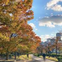 天神中央公園～美麗河濱🍂🎶