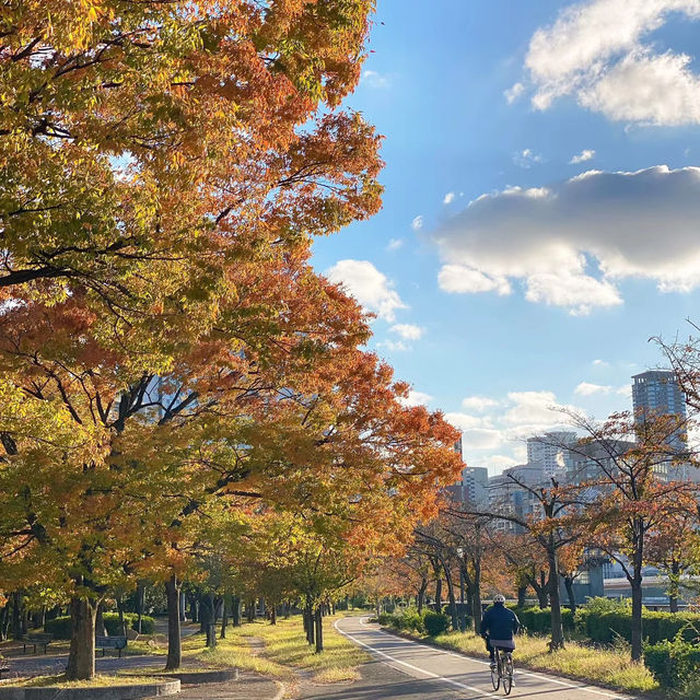 天神中央公園～美麗河濱🍂🎶