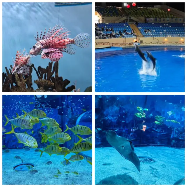 【中國/北京海洋館】