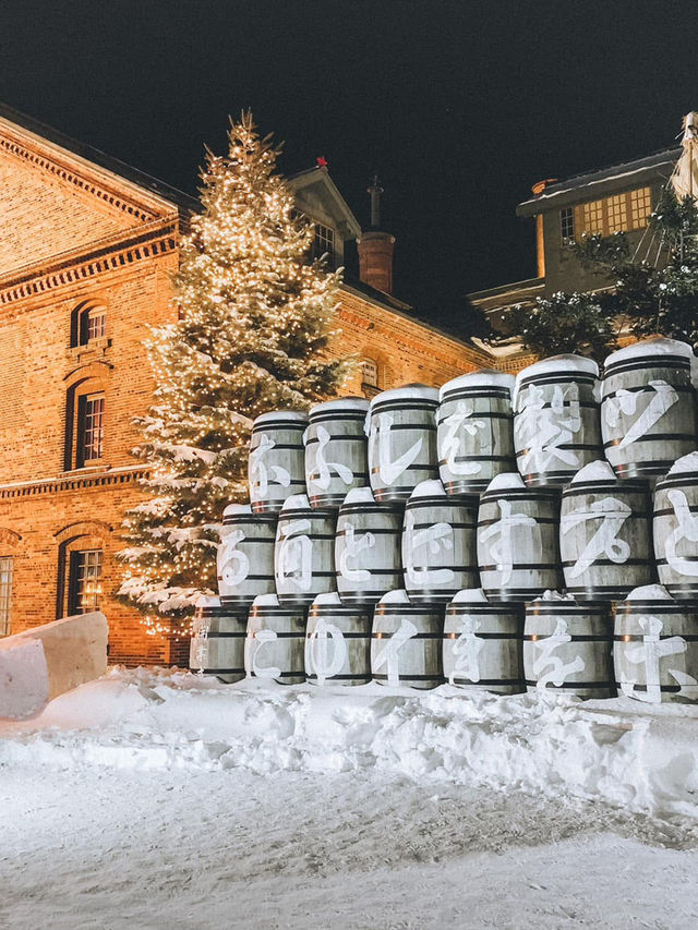 2 Days in Sapporo: A Winter Wonderland Adventure