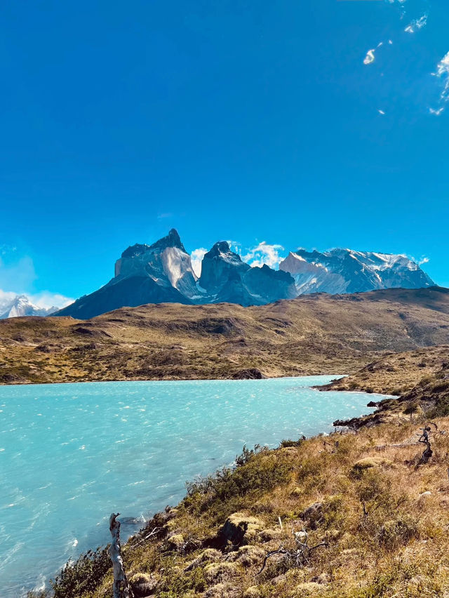 Exploring the Untamed Beauty of Torres del Paine National Park