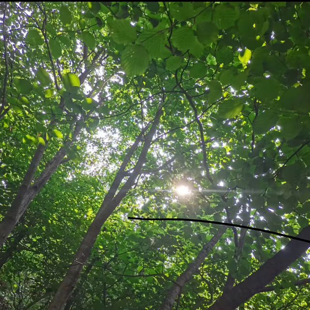 五桂山：猴子與水庫的山谷🐒🏞️