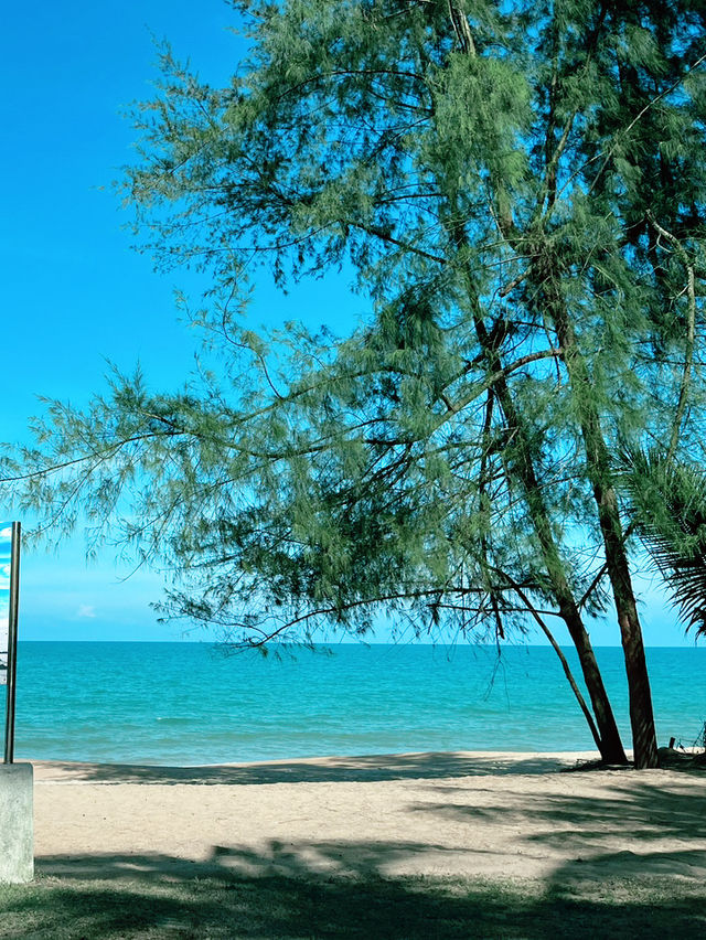 “Escape to Paradise: Discovering the Beauty of Cherating Beach, Pahang”