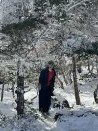 겨울 제주! 1100 프로로 즐기기!!