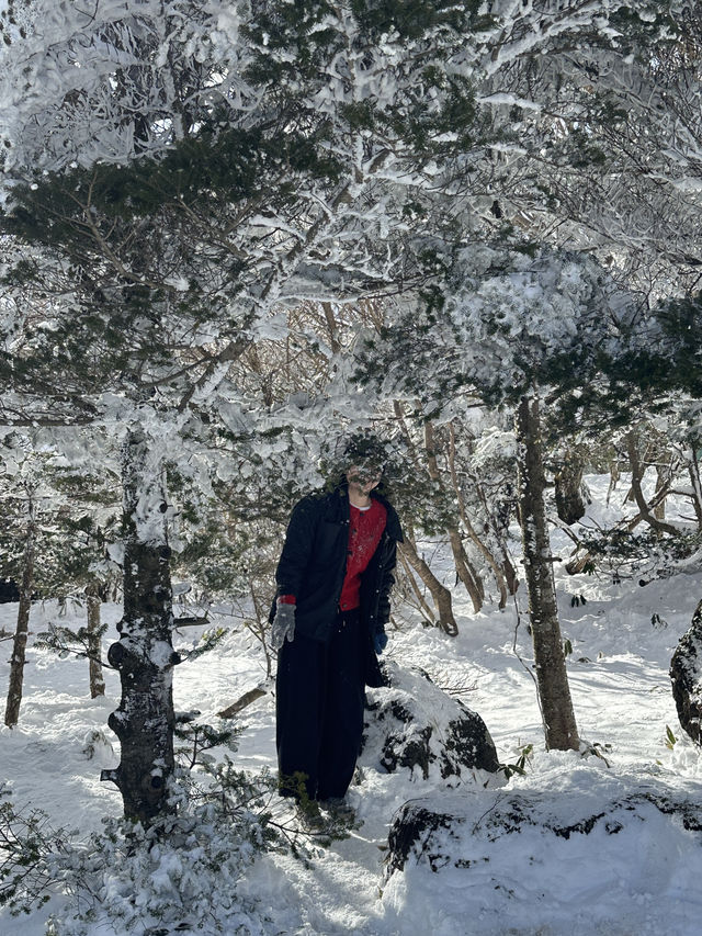 겨울 제주! 1100 프로로 즐기기!!