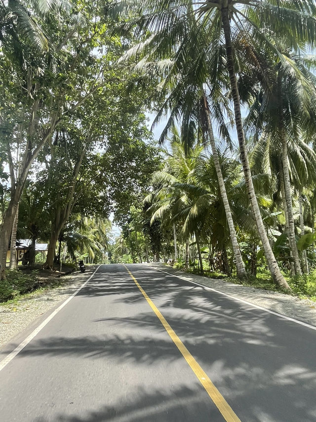 Exploring the Forest Road to Ende: A Green Oasis 🌿