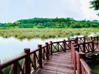 “Putrajaya Wetlands Park: A Tranquil Oasis of Nature!”