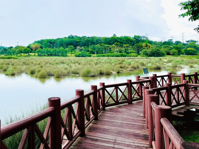 “Putrajaya Wetlands Park: A Tranquil Oasis of Nature!”