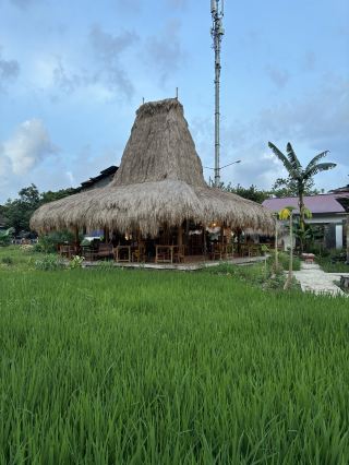 Resto Ne’neru Loko :A Dining Experience You Shouldn’t Miss in Waikabubak 🍽️🌿 