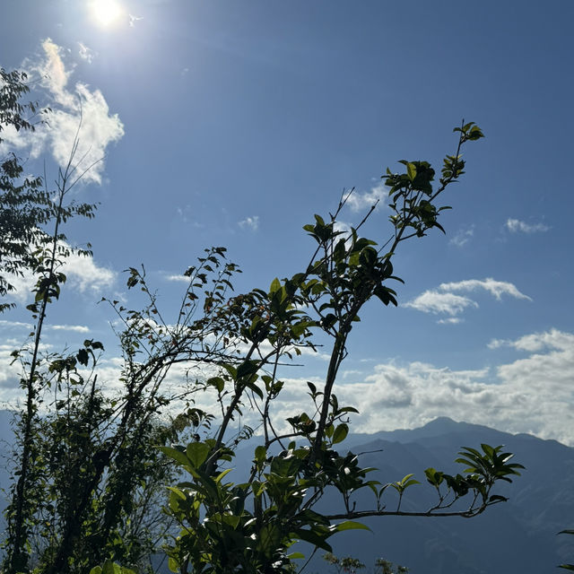 去露營吧⛺️桃園拉拉山的塔曼之光露營區推薦！