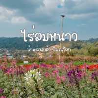 ฮีลใจที่ไร่ลมหนาว 📍ร่องกล้า พิษณุโลก